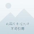 三千旧梦是什么意思